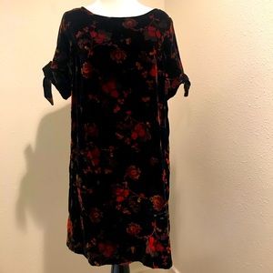 Velvet Loft Shift Dress